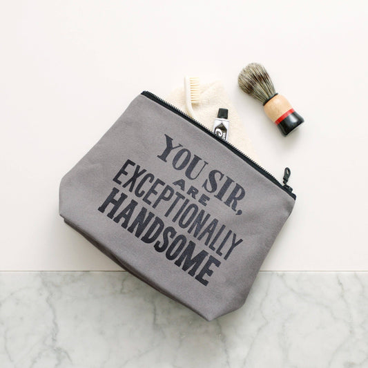 Exceptionally handsome grey wash bag