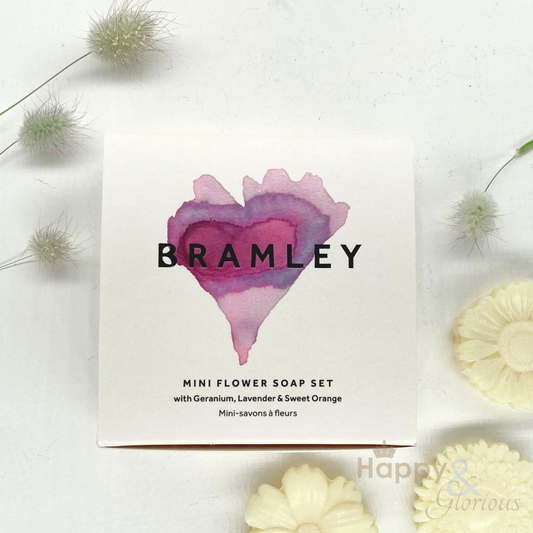 Guest soap gift set by Bramley Products