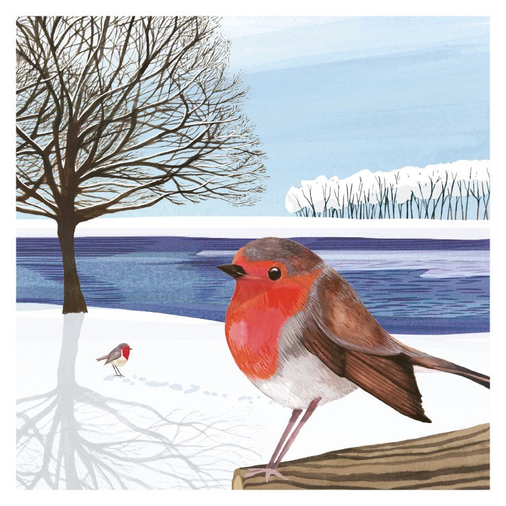 Robin & snow charity Christmas cards - pack of six