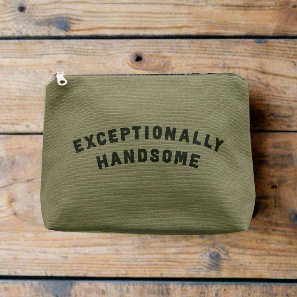 Exceptionally handsome olive wash bag