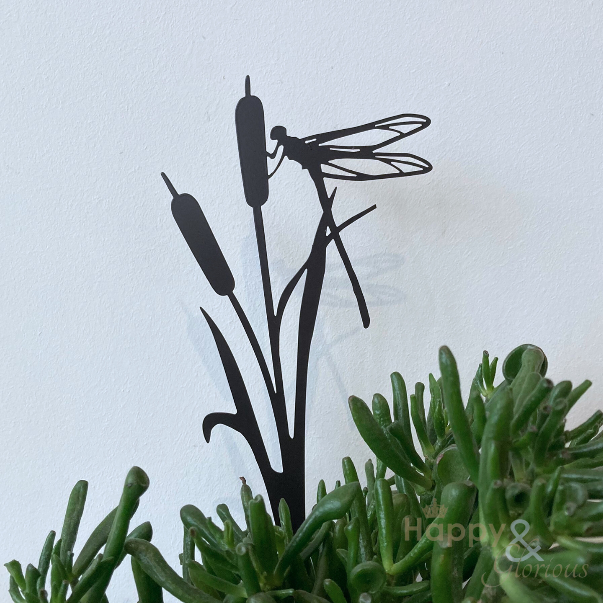 Dragonfly on rushes steel plant pot stem