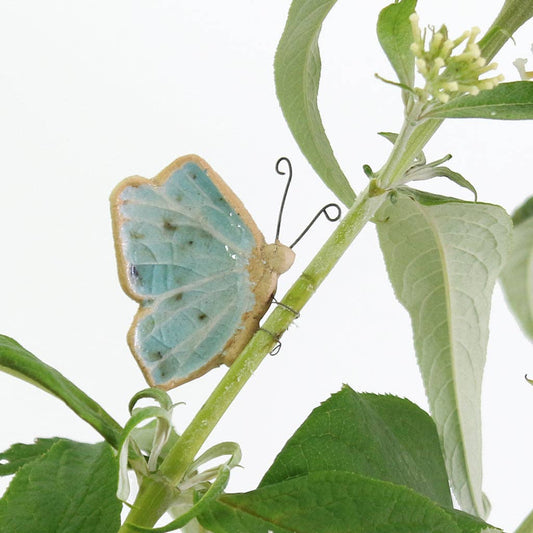 Barney butterfly plant pal decoration