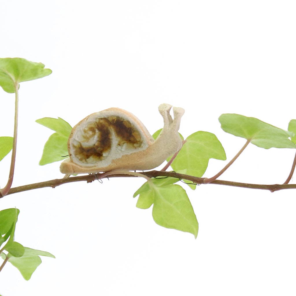 Sidney snail plant pal decoration