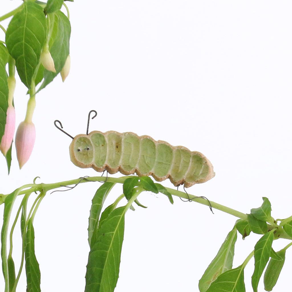 Cara caterpillar plant pal decoration