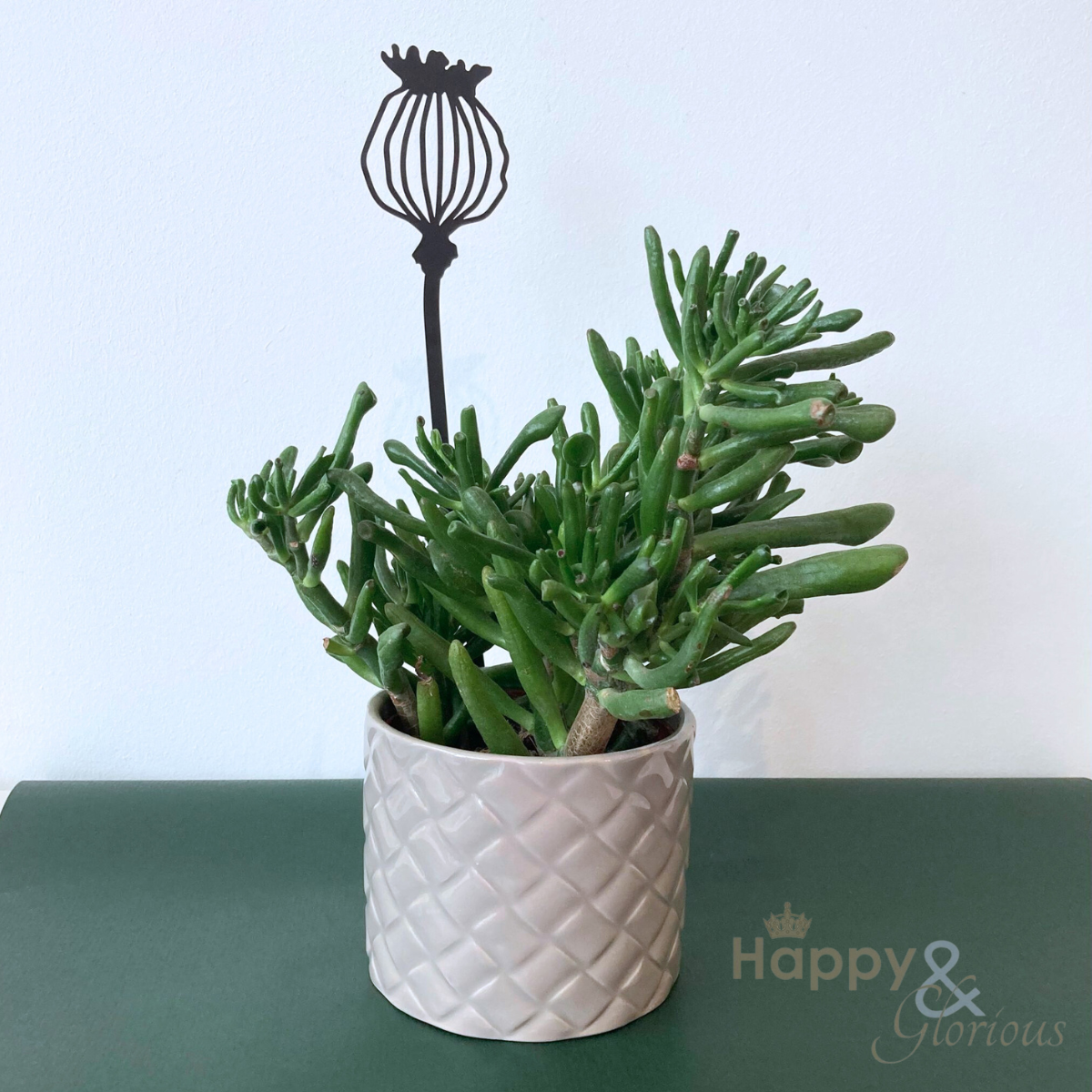 Poppy steel plant pot stem