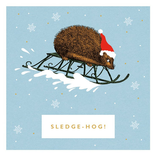 Sledge-hog charity Christmas cards - pack of six