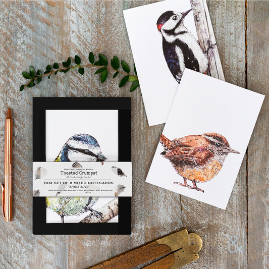 British birds set of eight notecards